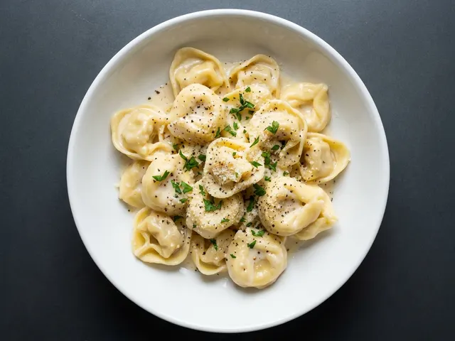 Cheese Tortellini Alfredo from Chicago Pizza and Pasta in Irving, Texas